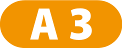 A3